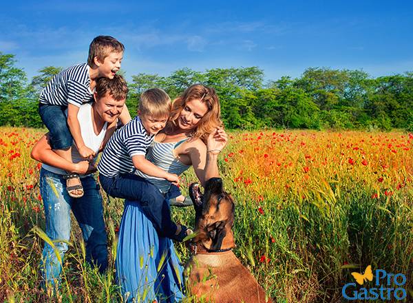 Áttörő kutatások az atópiás betegségek és a bélflóra kapcsolatáról