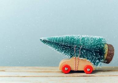 Ünnepi nyitvatartás a ProGastronál!